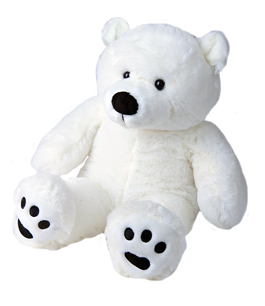 polar teddy bear