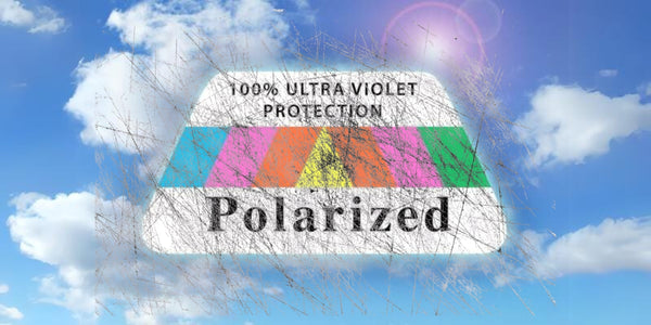 Scratched polarized lenses