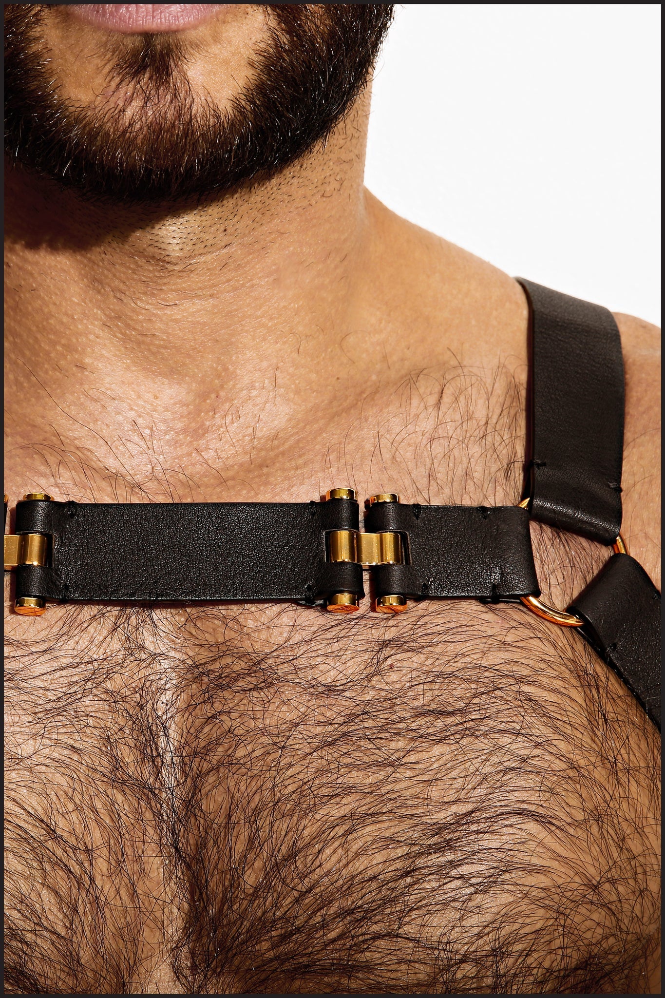 Charlie by matthew zink leather  leather neck harness – Charlie By Matthew  Zink