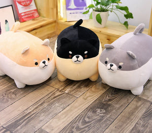 angry shiba plush