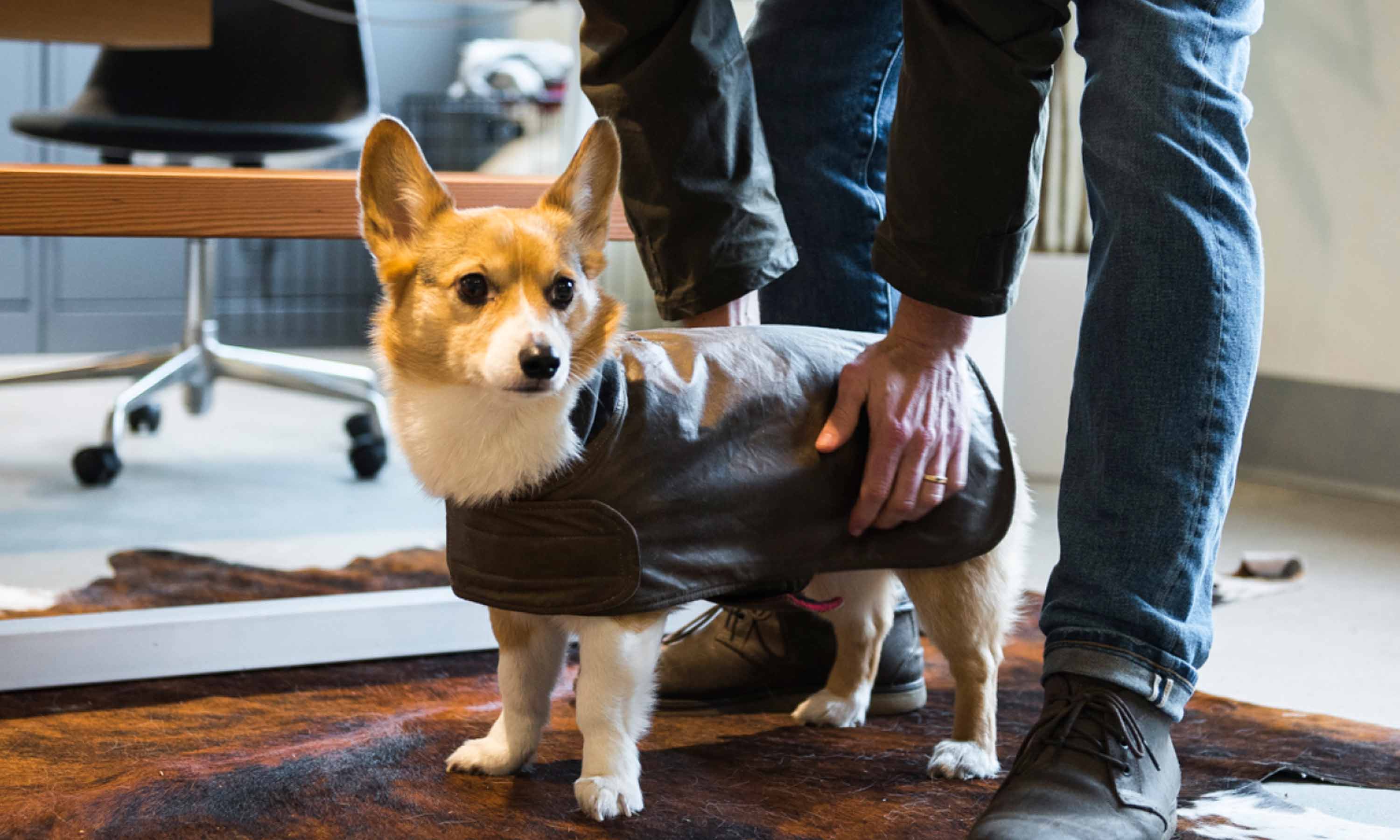 Heat-Activated Fabric Dressing