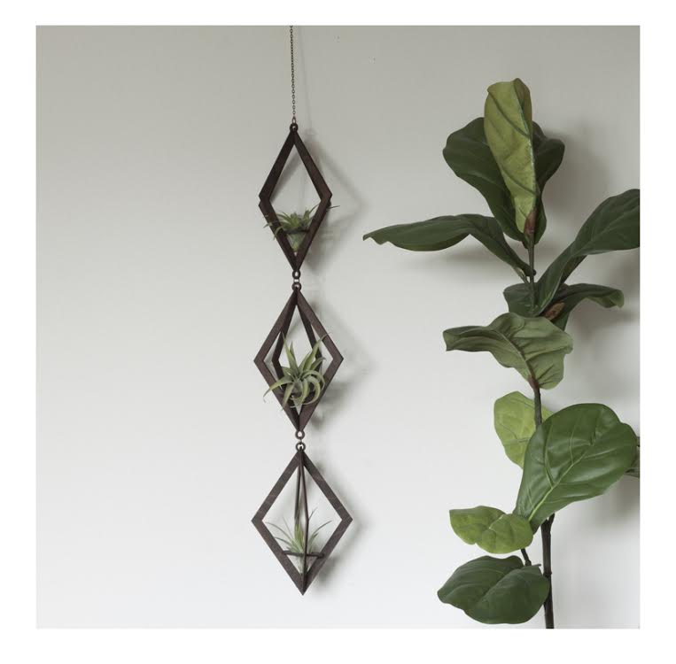 Air Plant Hanger Trio Walnut