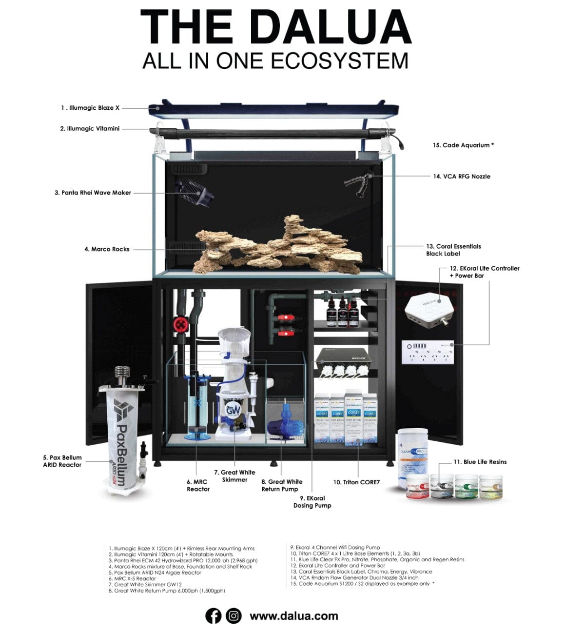 Ecosystem 4' (120cm) Dalua.com