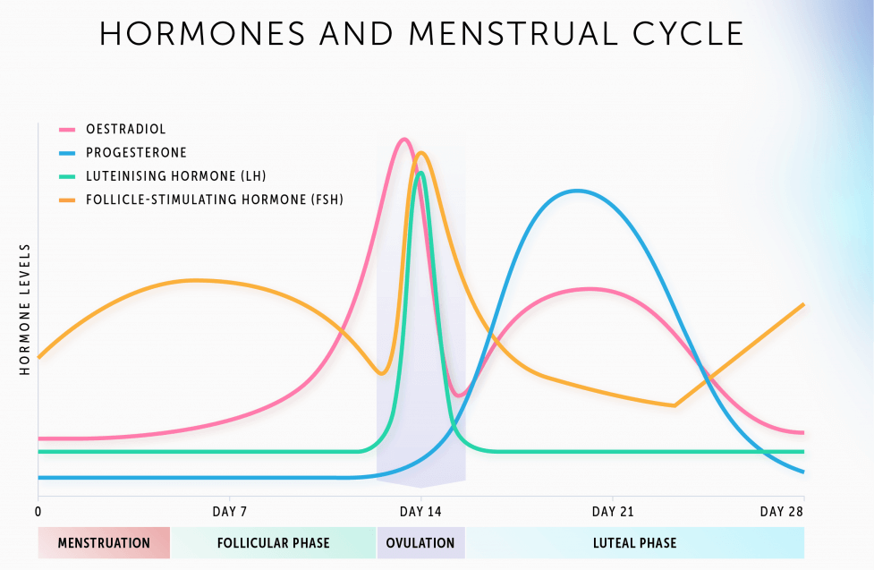 menstrual hormones levels chart