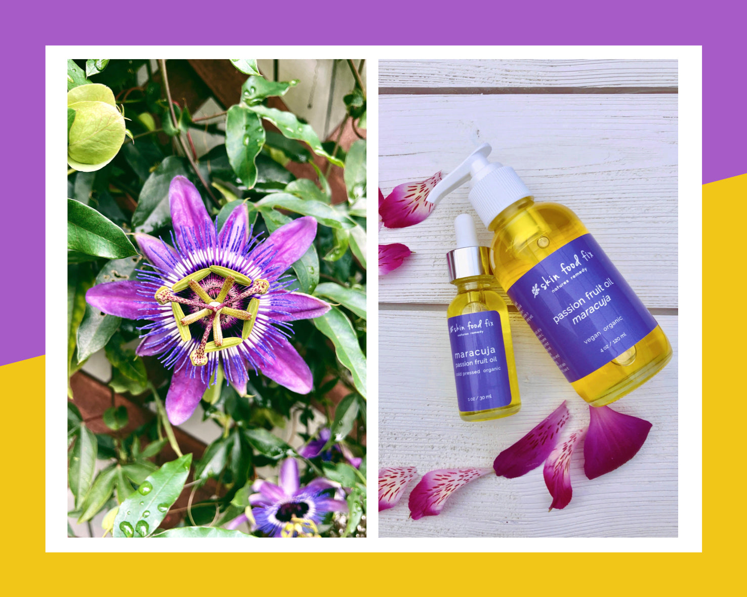 passion flower next to maracuja passion fruit seed oil