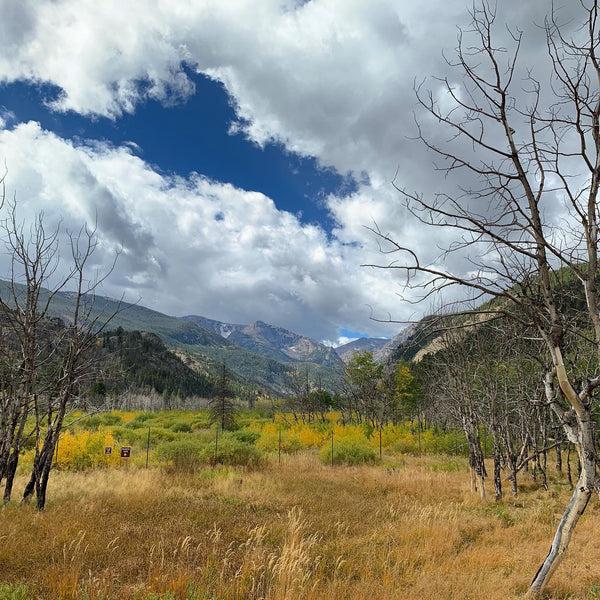 Colorado