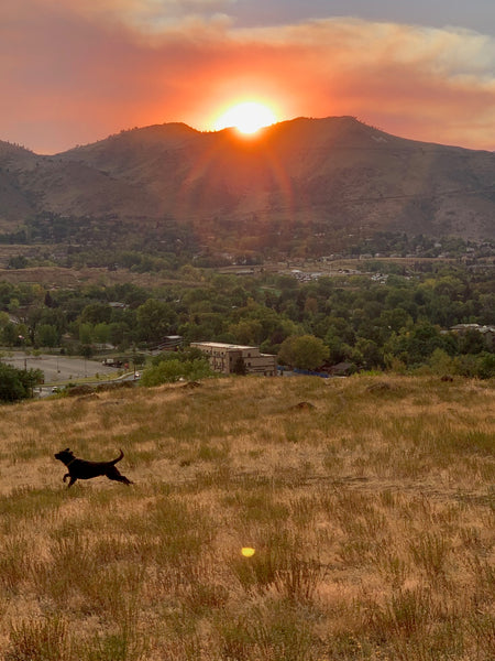 South Table Mountain, Golden CO