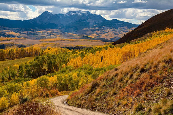 Colorado Fall Foliage - #1 Last Dollar Road