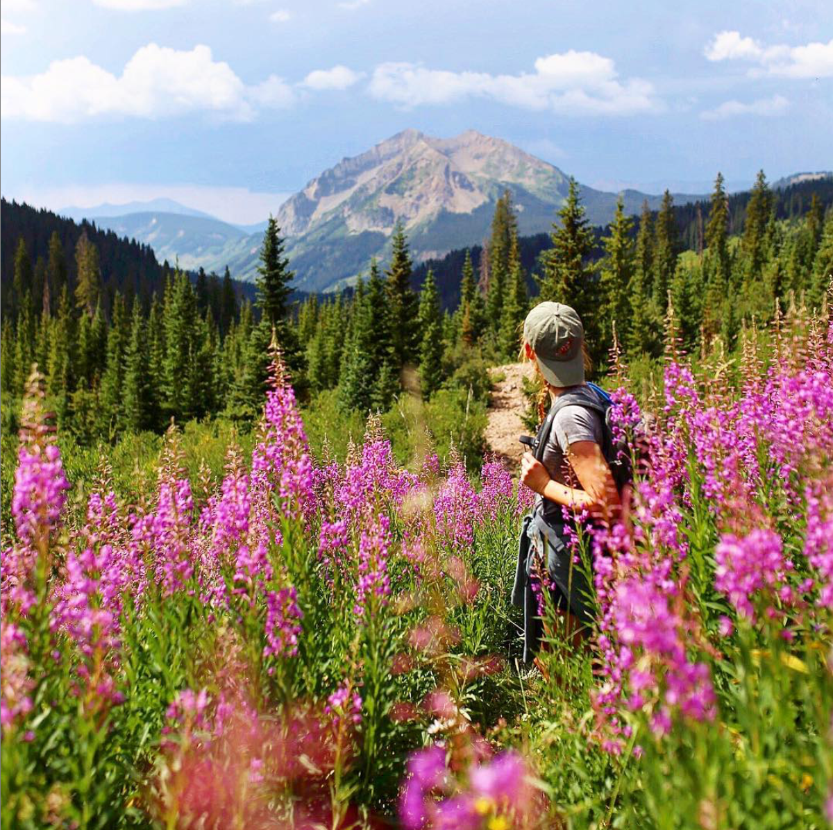 Rustler Gulch - Crested Butte - Colorado Wildflower Hikes