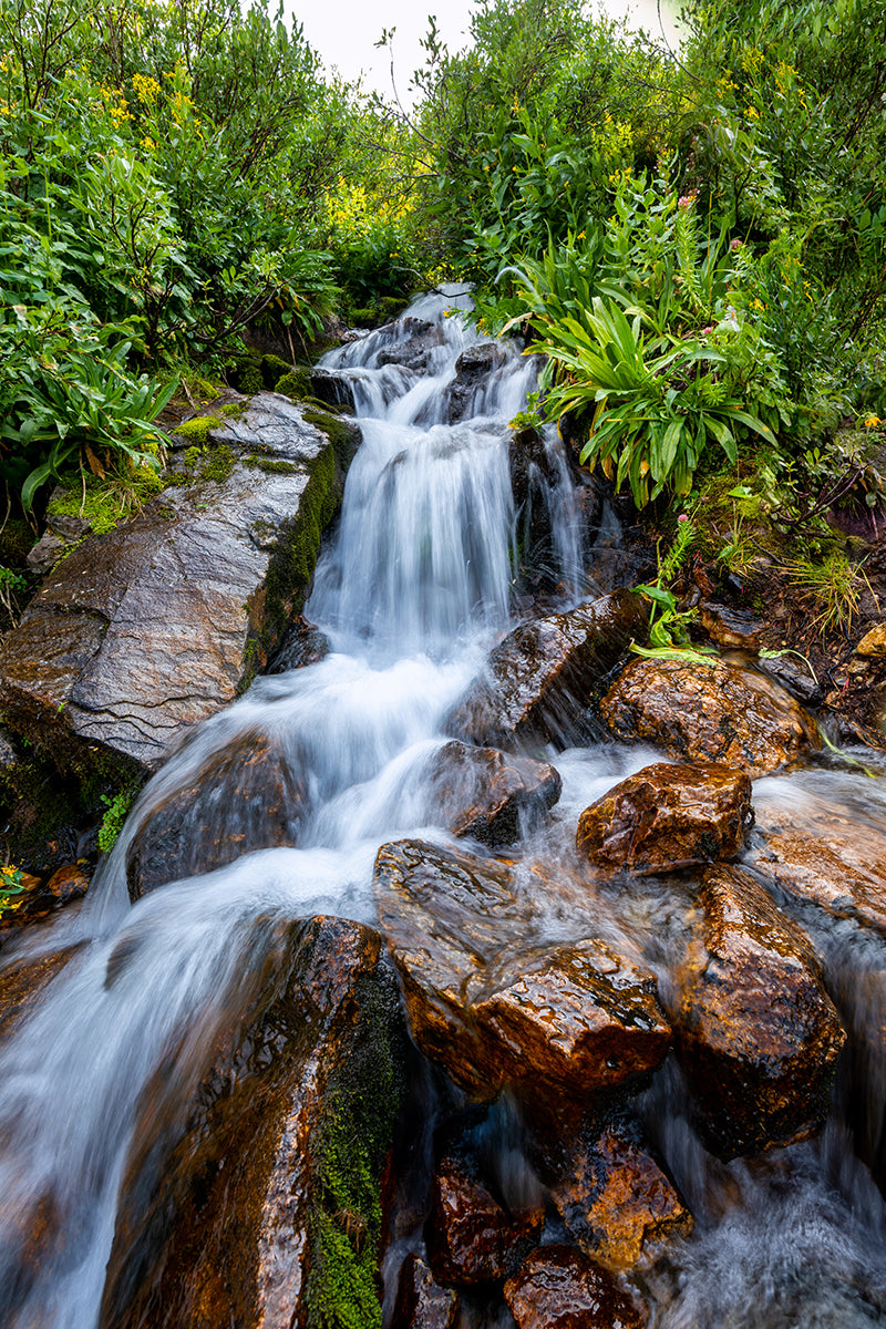 Waterfall in Colorado's Sawatch Range