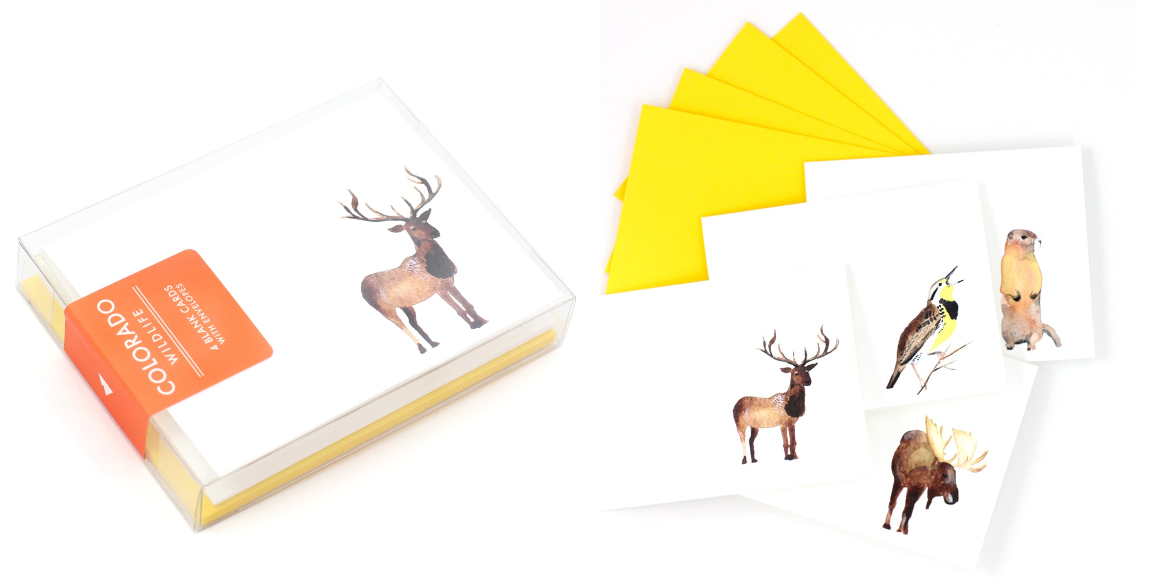 Colorado Wildlife Gift Note Set