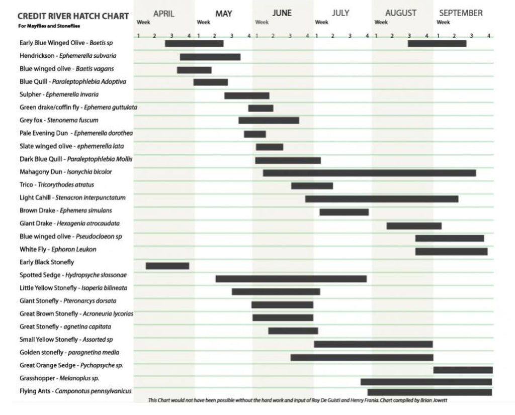 Pheasant Hatching Chart