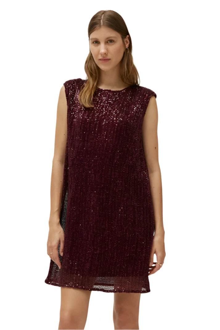 Mini Sequin Dress
