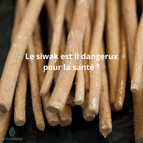 Is the siwak dangerous for our health?