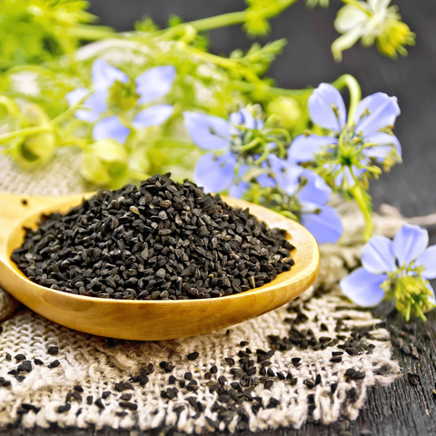 Nigelle: Graines de nigelle, cumin noir - Acheter, bienfaits et recettes