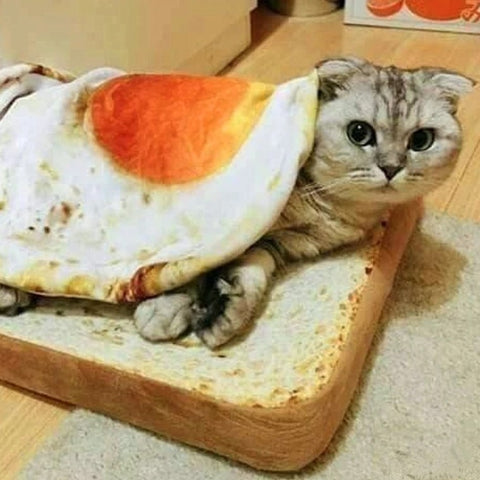 A fried egg and toast cat bed. The toast is the base and the fried egg is the blanket. A cat is peering out from under the blanket.