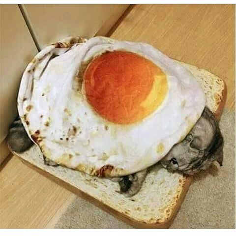 A cat asleep in a fried egg and toast cat bed. The base of the bed looks like a piece of toast and the fried egg is a blanket.