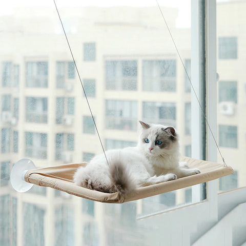 A white and grey cat relaxing in a window cat hammock