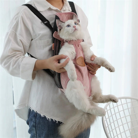 A cat strapped into a cat carrier harness which is attached to the front of a person body.