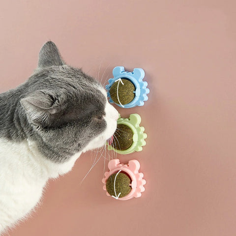 Three catnip ball toys attached to a wall. A cat is rubbing up against one of them with its face.
