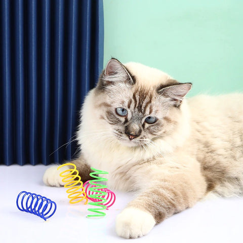 A cat sitting next to four differently colored cat spring toys
