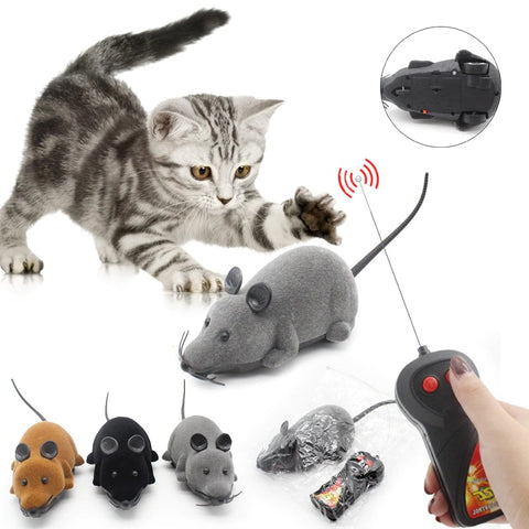 A kitten playing with a grey toy mouse with other variations of toy mouse around it plus a hand holding a remote control.