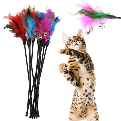 A bundle of cat feather toy sticks with a kitten swatting one of them as its playing.