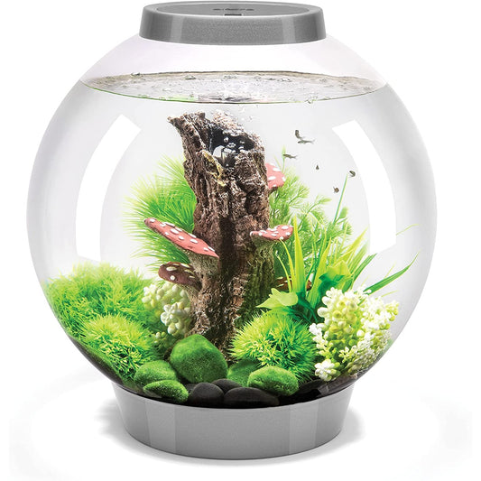 EcoSphere Pod with Self-Sustaining Sea Ecosystem