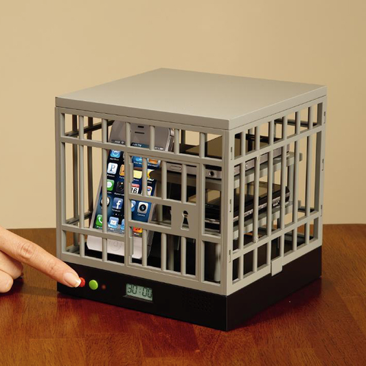 Timed Locking Container –