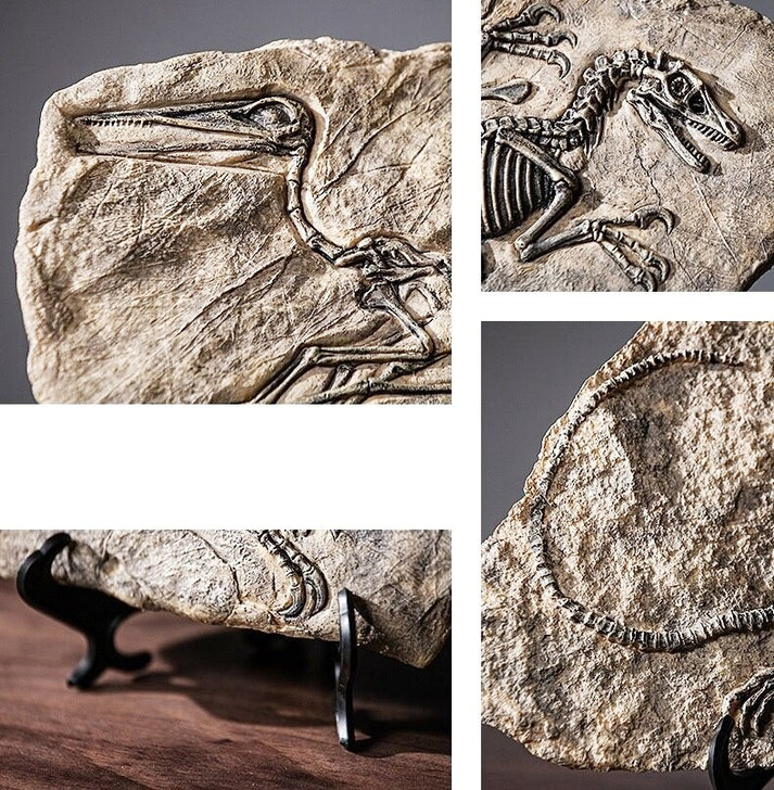 Get prehistoric with these resin dinosaur fossils – OddGifts.com