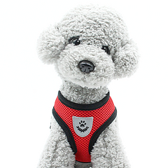 small dog harness