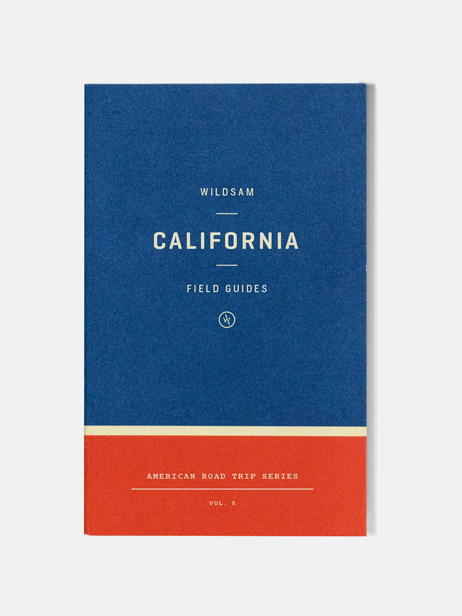 California Road Trip Guide