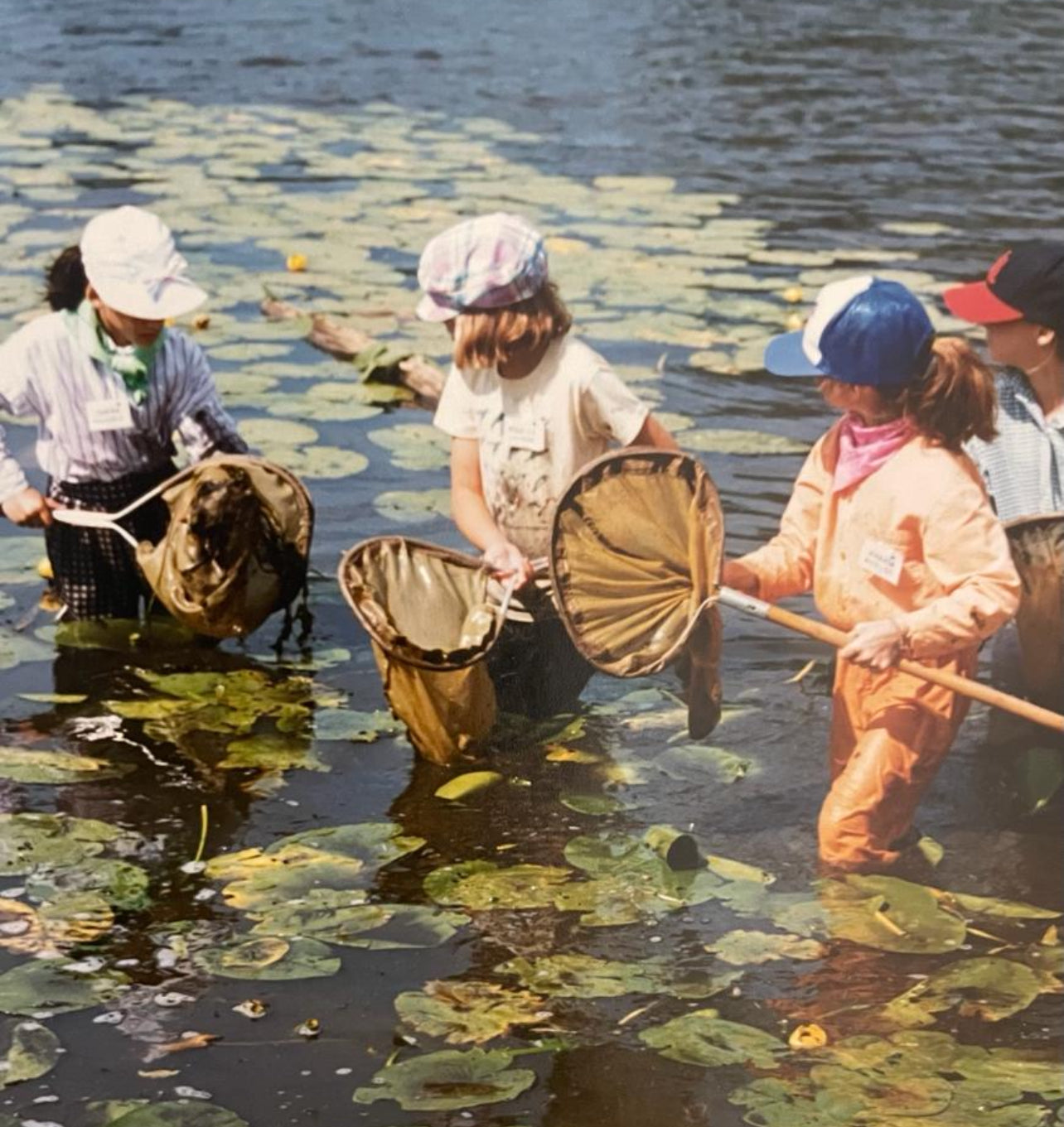 Campers from the Toronto Nature Centre explore a local wetland