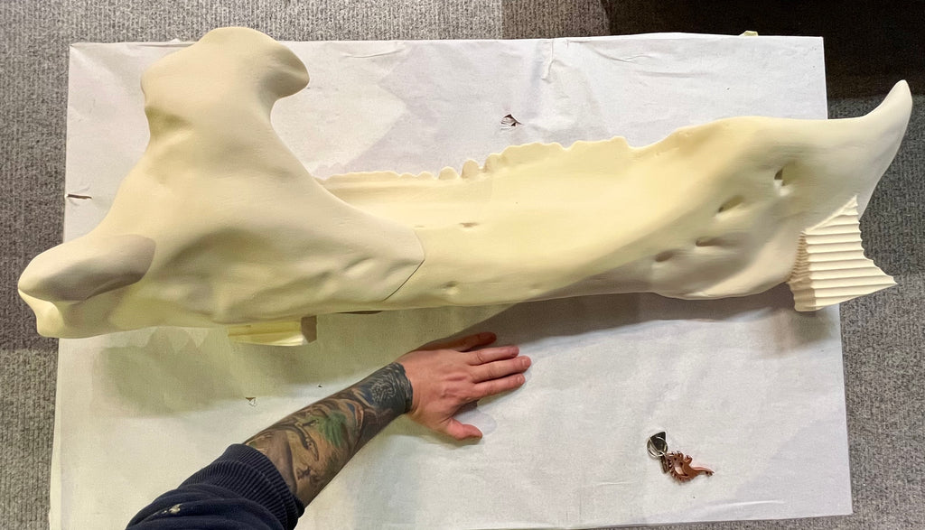 The right lower jaw of Willard - reconstructed and CNC milled by Bat-Tech Italia. (Credit: NK)