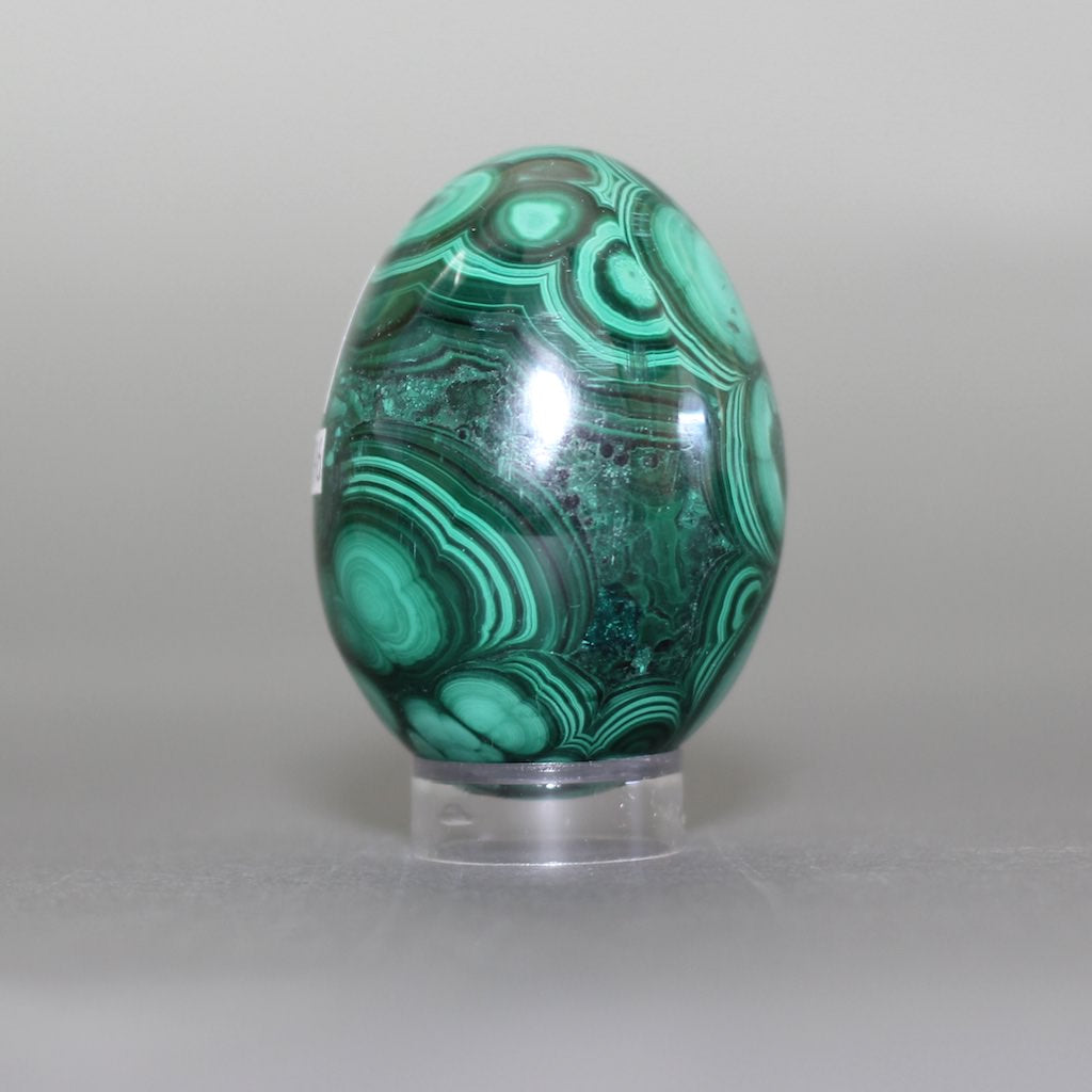 Polished Malachite Egg For Sale – Fossil Realm