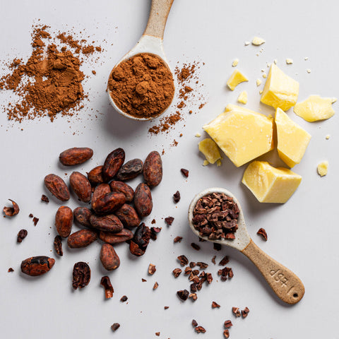 Overhead image of cacao beans, cacao butter, cacao powder and cacao nibs