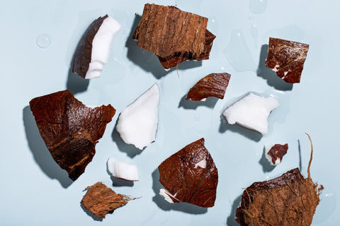 Fragments of coconut featuring water, meat, shell and husk