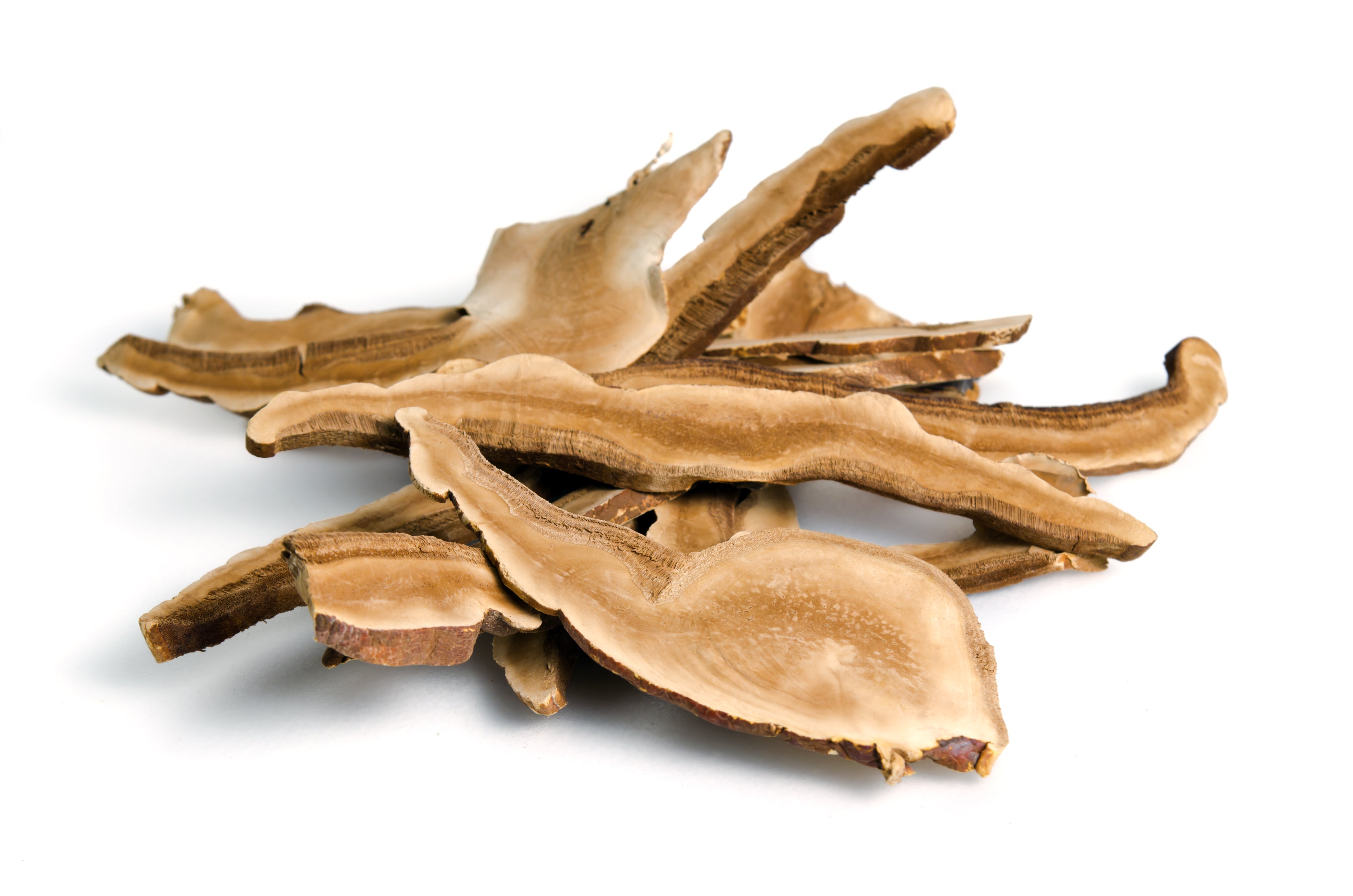 Slices of dried Reishi mushroom