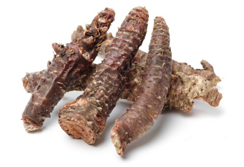 Close up of Rhodiola root