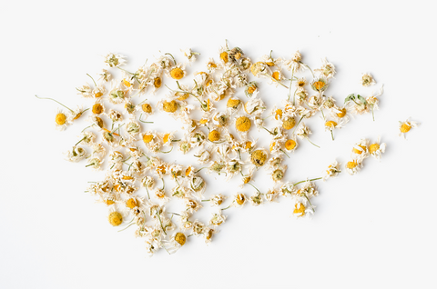 Image of dried Chamomile flower buds