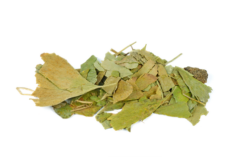 Image of small pile of dried Ginkgo Biloba leaves