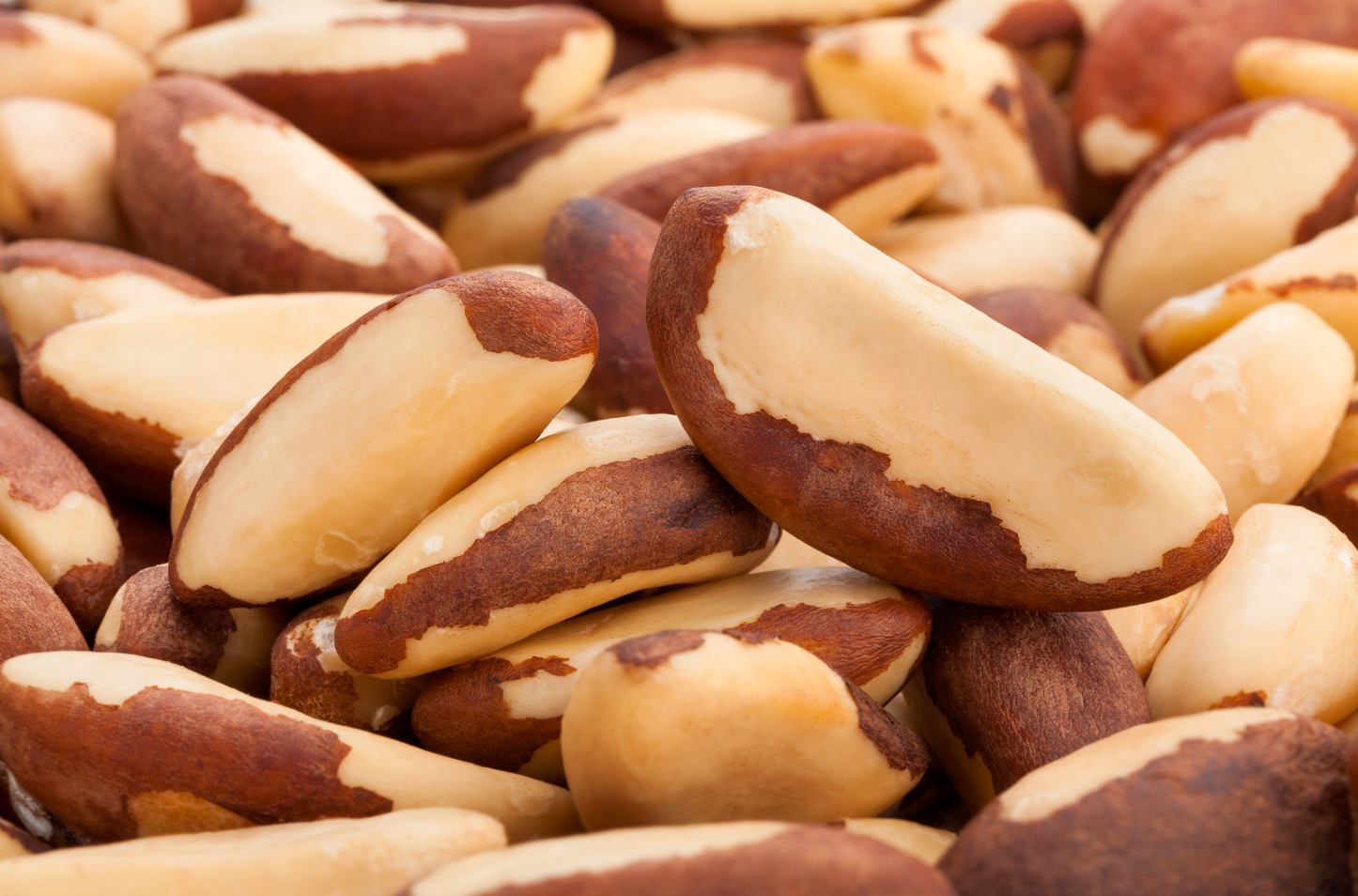 Close up of brazil nuts