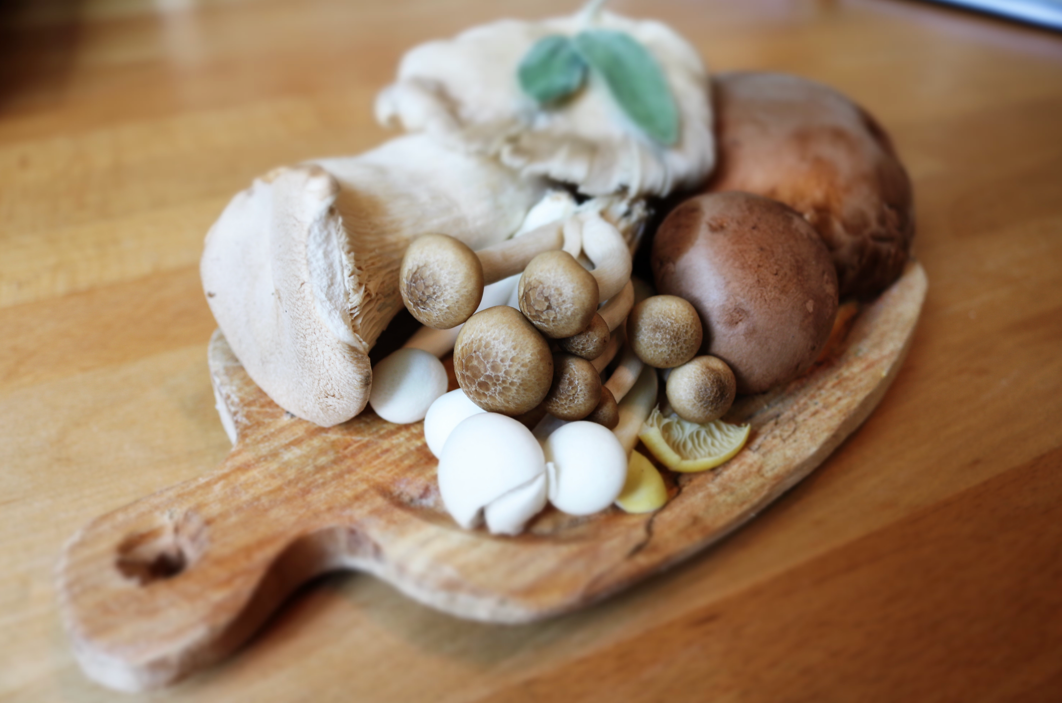 Array of culinary mushrooms