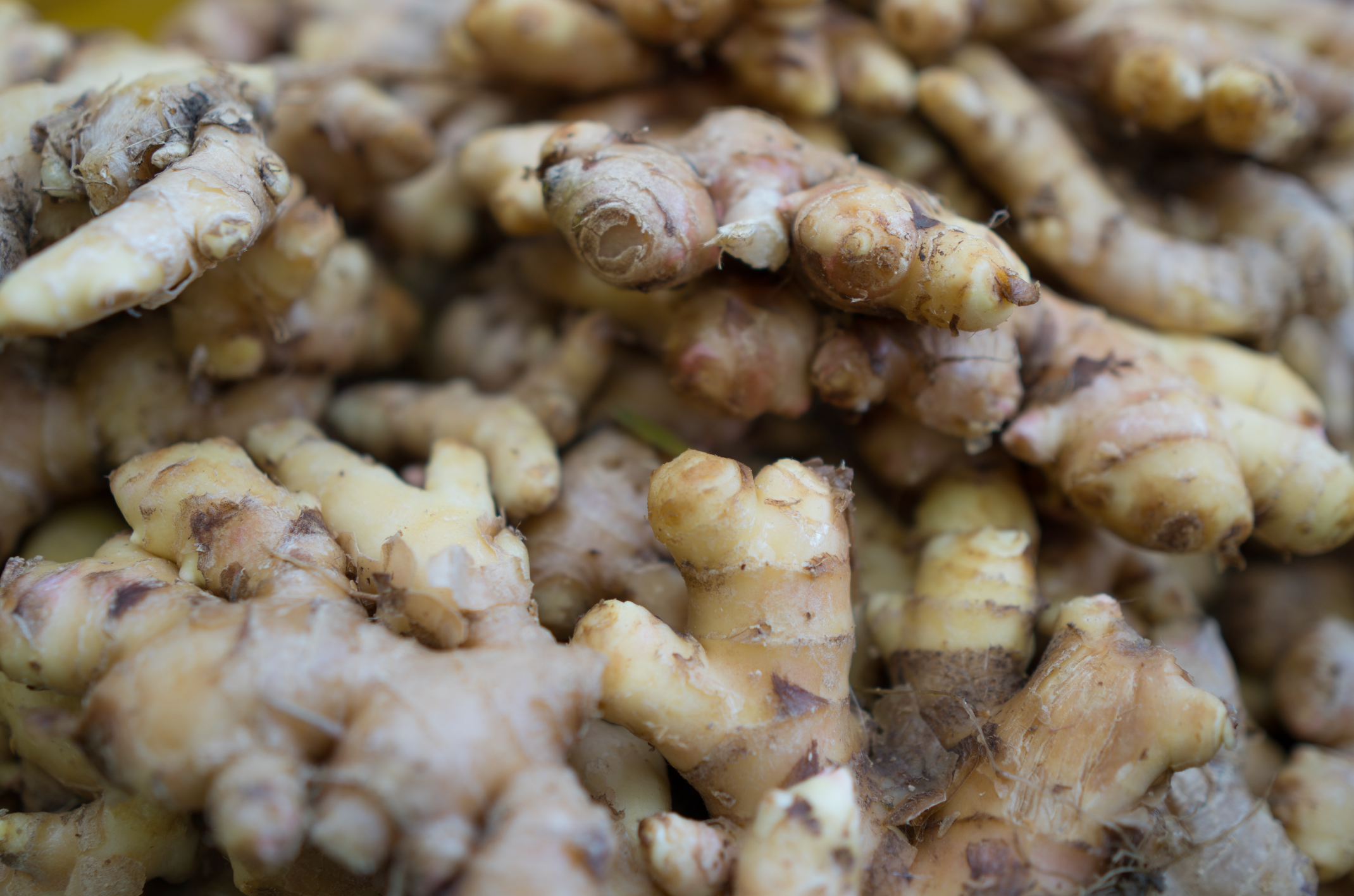 Close up of Ginger root