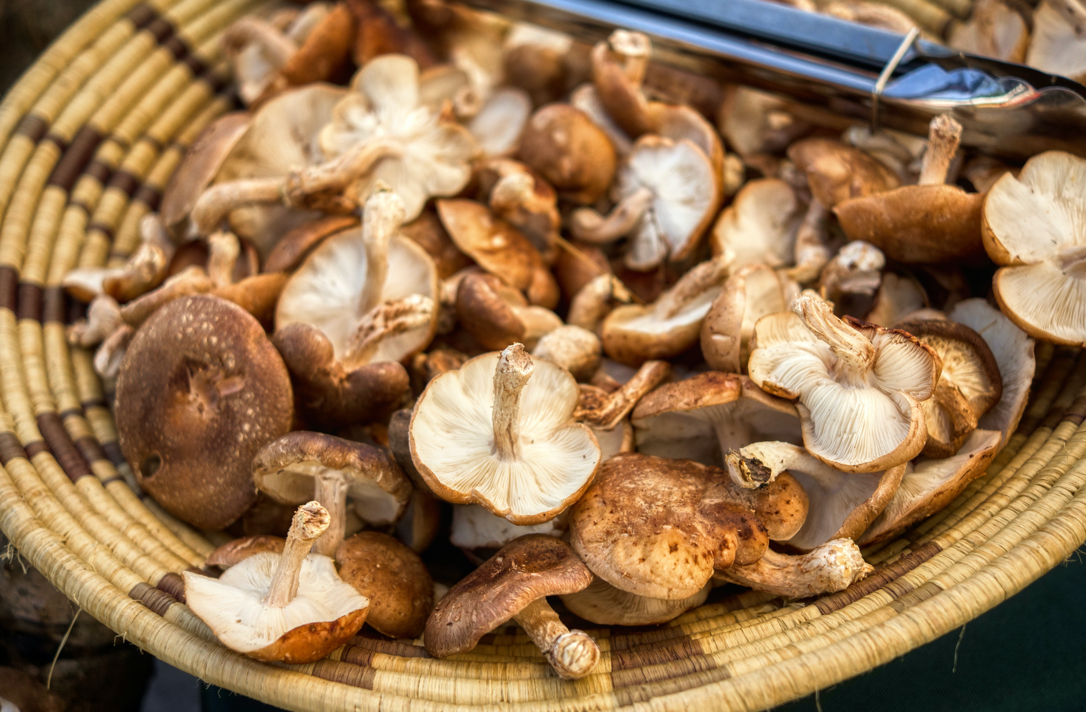 Woven bowl of shiitake mushrooms