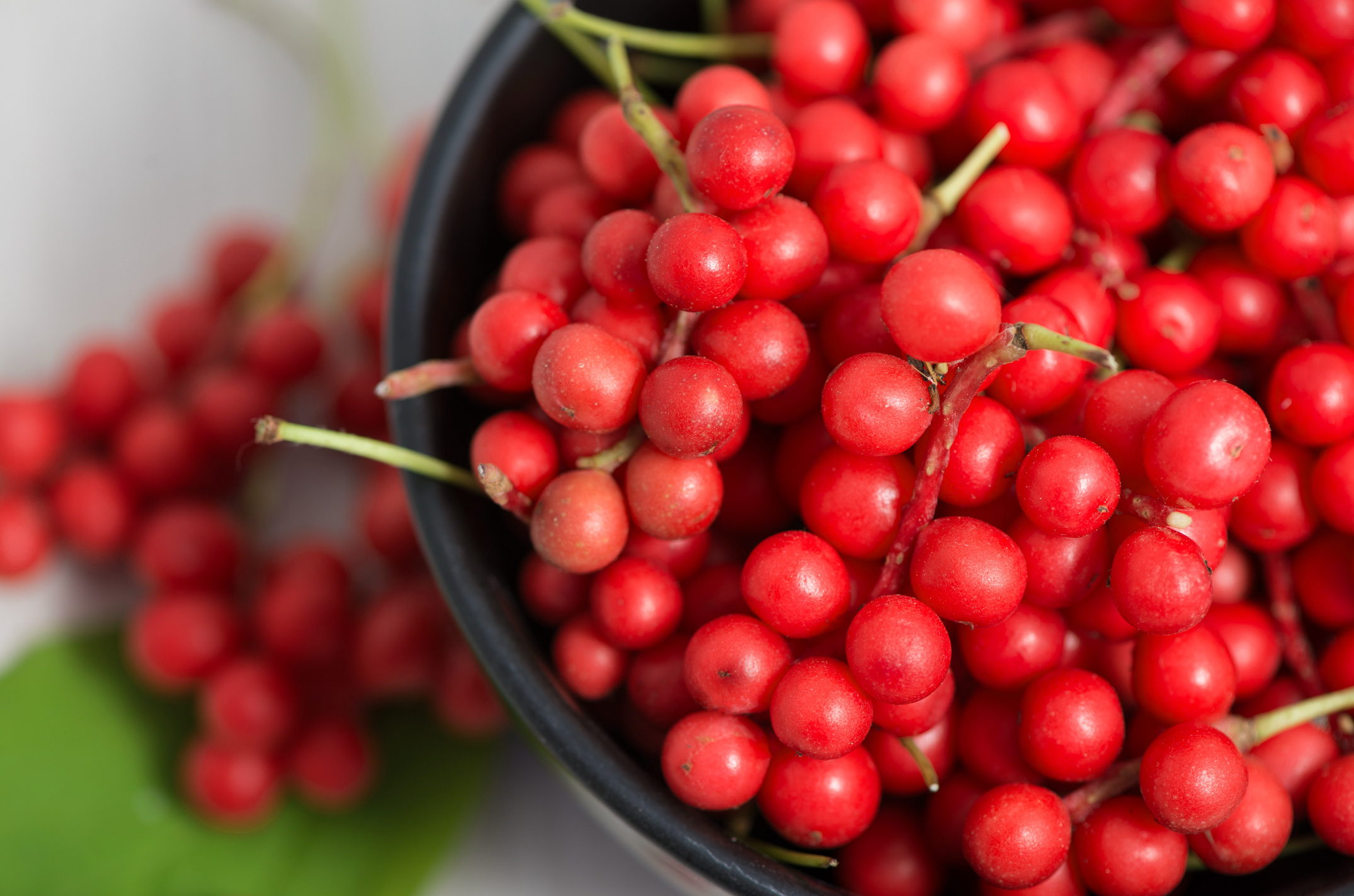 Schisandra berries in bowl