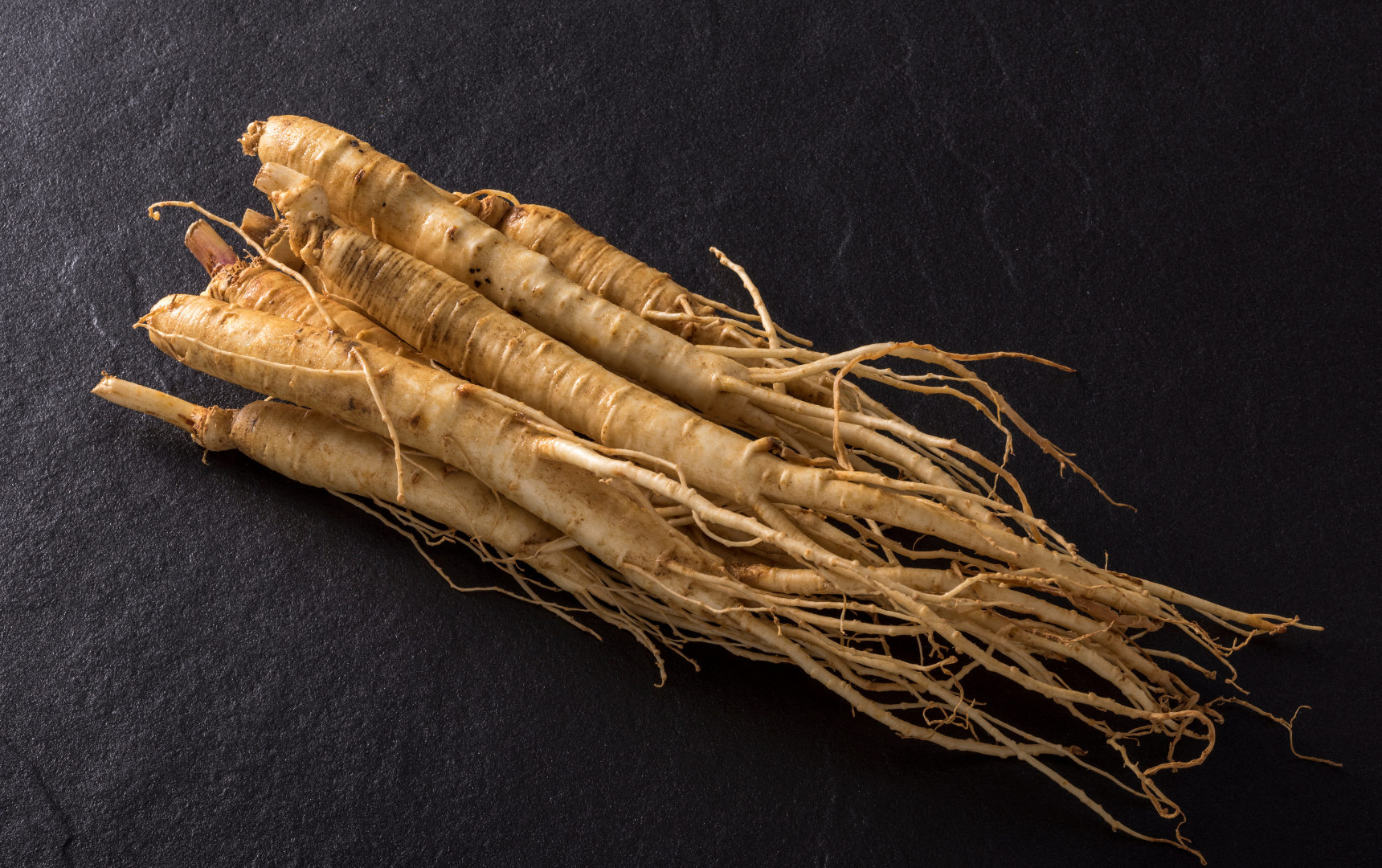 Ginseng Root