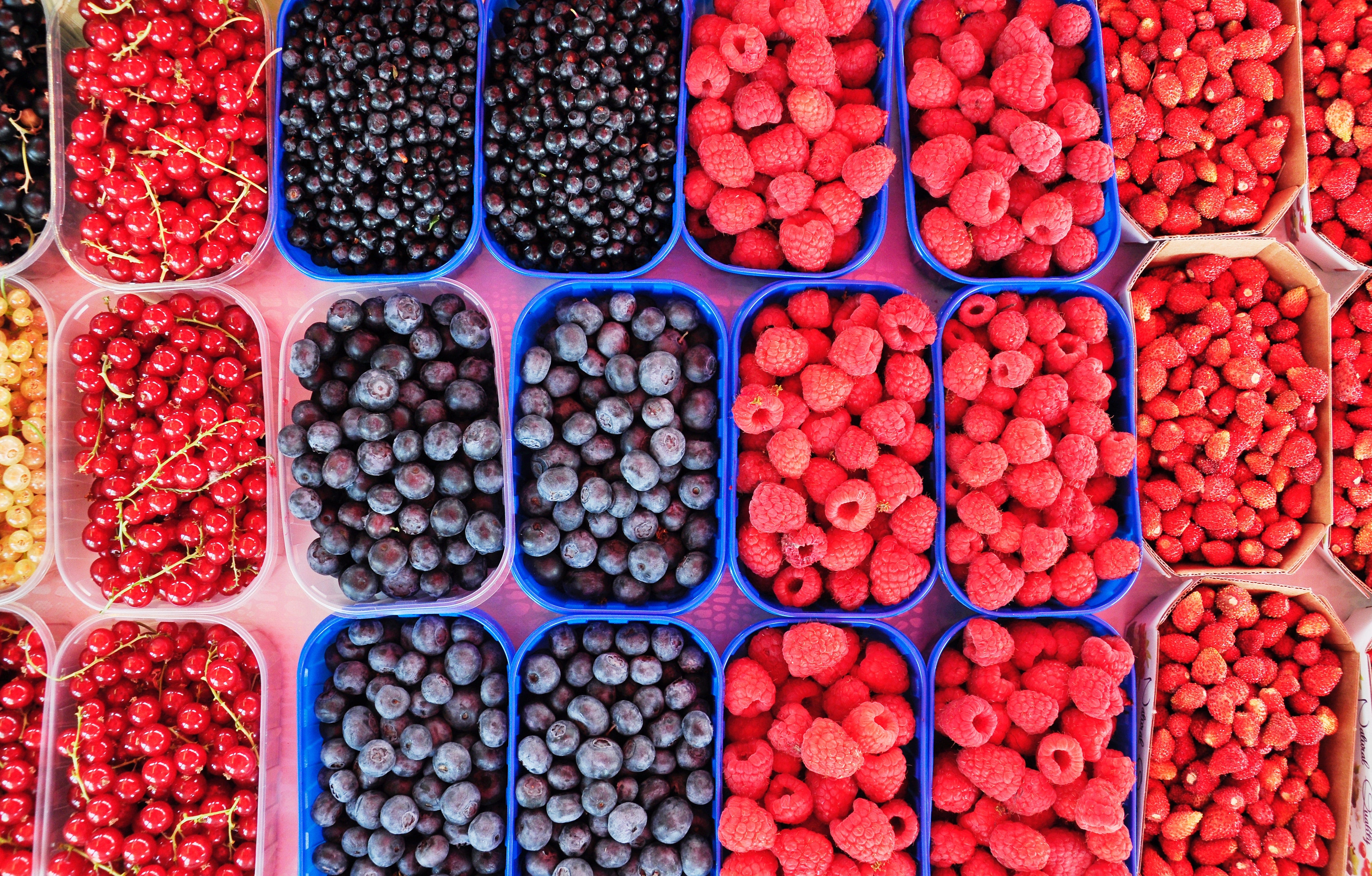 Overhead images of various berries