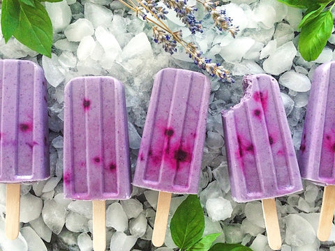 vegan blueberry popsicles on ice surrounded by leafy herbs