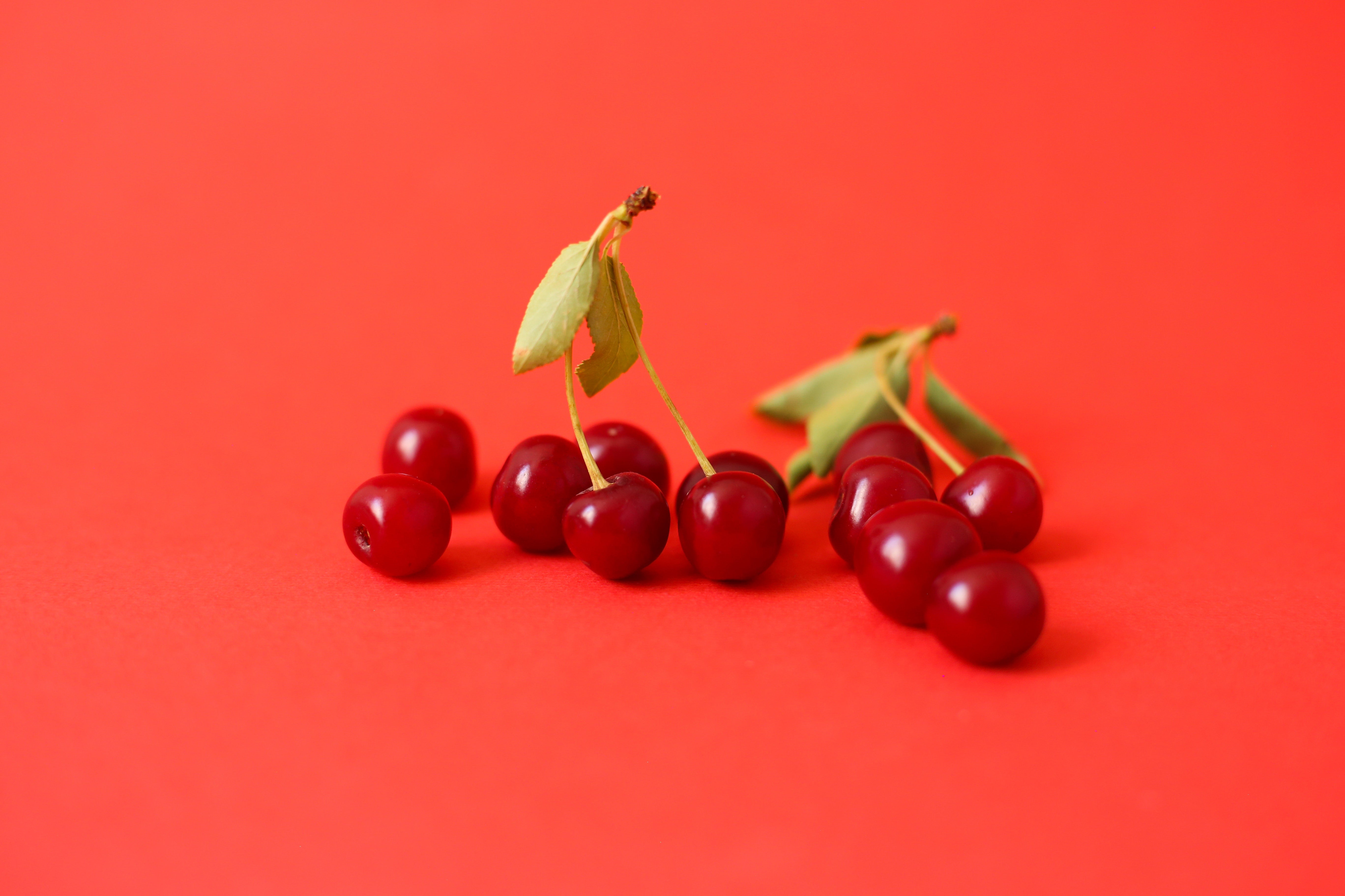 Red cherries on red background